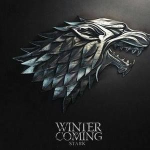 Meet your Posher, Felix